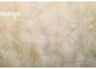 Фото - Обои Maya Romanoff River Bed ll - 394936>