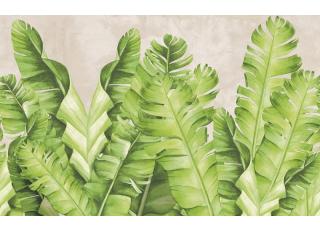 Фото - Обои Ortograf Oasis - 477168>