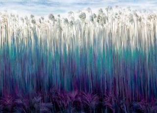 Фото - Обои Italreflexes Kata - 390514>