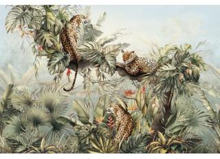 Фото - Обои Ortograf It`s Jungle - 477081>