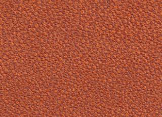 Фото - Обои Elitis Anguille - 257726>