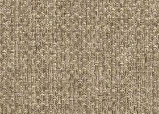 Фото - Ткани Clarke&Clarke Maximus - 296392>