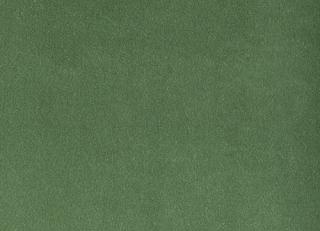 Фото - Ткани Foresti Home Collection Velluto di cotone Zeus - 563409>