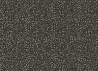 Фото - Обои Carey Lind Rhytm&Hues - 240578>