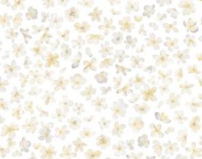 Фото - Обои Bernardo Bartalucci Milashka - 614000>