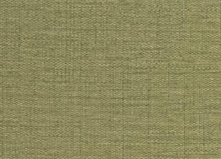 Фото - Обои Sirpi Forest - 454603>