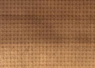 Фото - Ткани Foresti Home Collection Velluto Easy Clean - 570022>