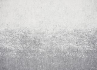 Фото - Ткани Black Edition - 456042>