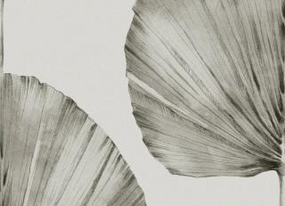 Фото - Обои Graham & Brown Genesis - 546303>