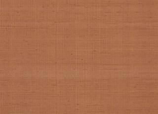 Фото - Терракотовые виниловые обои на стену - 399337>