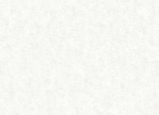 Фото - Обои Paper Partnership Patterdale - 485518>