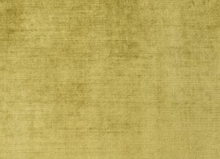 Фото - Ткани Antoine d'Albiousse Velours de Fiacre - 480331>