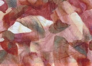 Фото - Обои Casamance Naturals - 411627>