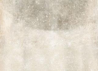 Фото - Обои Italreflexes Kata - 390517>