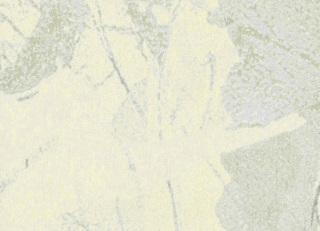 Фото - Ткани Rubelli Rococo - 625118>