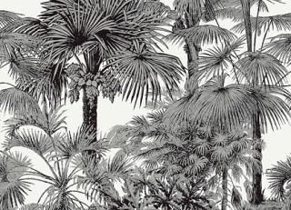 Фото - Обои Thibaut Tropics - 442603>