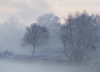 Фото - Ковры Tai Ping Kiso by Yabu Pushelberg - 507854>