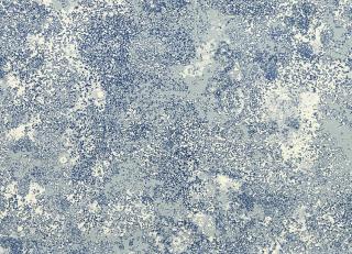 Фото - Обои Lelievre Troisieme Chapitre - 533786>