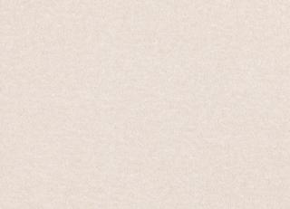 Фото - Ткани Zinc Malibu Textured Weaves - 385102>