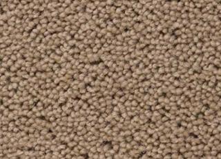 Фото - Ковры Best Wool Carpets The Pure collection - 501824>