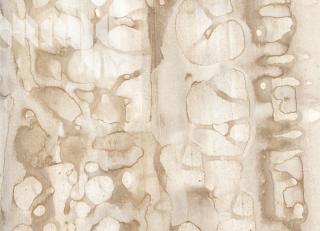 Фото - Обои Maya Romanoff River Bed ll - 394954>