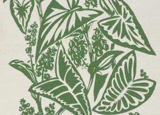 Фото - Обои Pierre Frey Jungle - 312165>