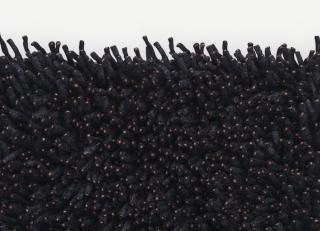 Фото - Ковры Kvadrat Corale 2 - 564371>