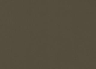 Фото - Ткани Clarke&Clarke Novara - 437360>