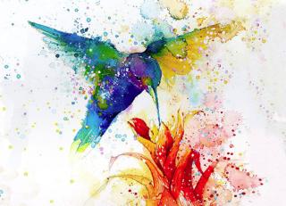 Фото - Обои Ango Linea &Co - 330715>