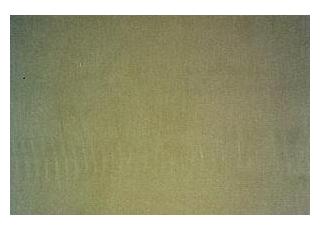 Фото - Ткани Rubelli Olimpia - 493115>