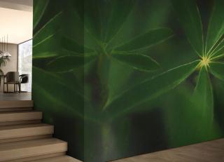 Фото - Обои Glamora Natural Forms - 400857>