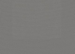 Фото - Ткани Faboie Plain VII - 575502>