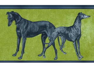 Фото - Обои Tenue de Ville Ode - 363334>