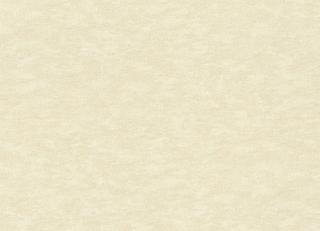 Фото - Обои Rasch Textil Wall Textures XL 3 - 629777>