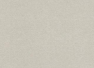 Фото - Ткани Rubelli Glassweave - 572573>