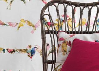 Фото - Ткани Chivasso Living - 300285>