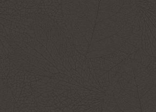 Фото - Обои Eijffinger Embrace - 579770>