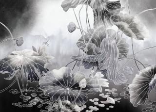 Фото - Обои Ortograf Grafika Natura - 477034>