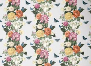 Фото - Обои Graham & Brown Explorer - 546265>