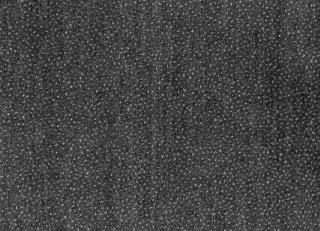 Фото - Ткани Dedar Sottosopra - 551211>