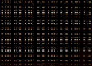 Фото - Ткани Designers Guild Quarenghi - 284352>