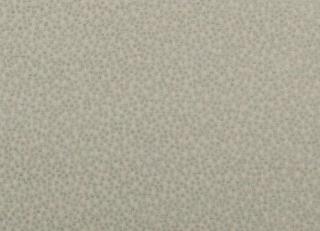 Фото - Ткани Clarke&Clarke Cesare - 295898>