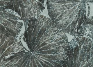 Фото - Обои Zoffany The Muse Wallcoverings - 366894>