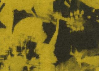 Фото - Ткани Rubelli Chiaroscuro - 488315>