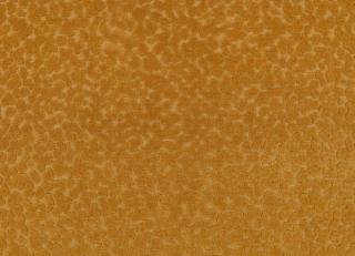 Фото - Ткани Kirkby design Graphic Nature - 606807>