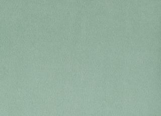 Фото - Ткани Foresti Home Collection Velluto di cotone Zeus - 563404>