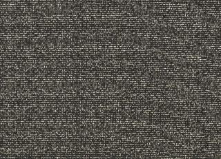 Фото - Ткани Kirkby design Graphic Nature - 606823>