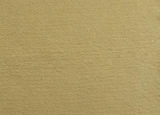 Фото - Ткани Antoine d'Albiousse Toile de Cocher - 480279>