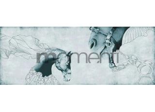 Фото - Обои Momenti Animal Collection - 317627>