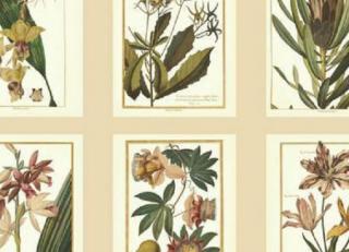 Фото - Обои Ashford House Ashford Toiles - 316641>